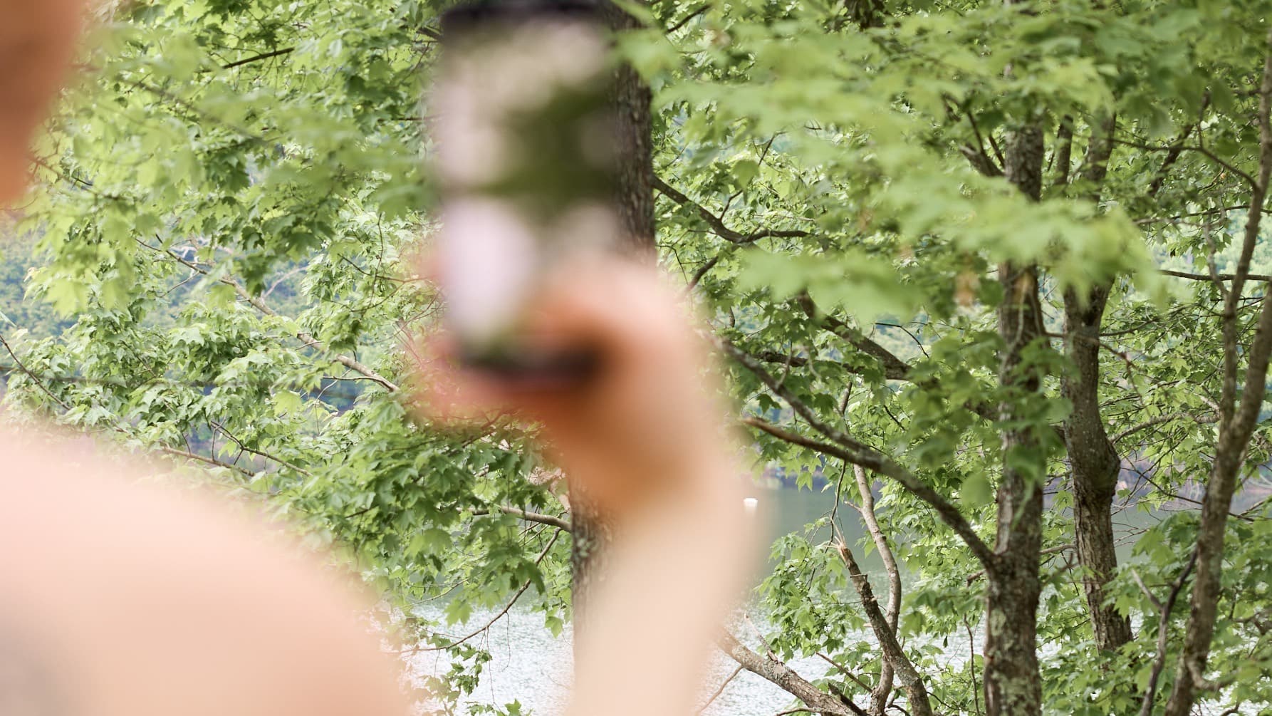 Photographing the trees from a deck, a fall marketing moment for a wellness business that still needs a clear next step