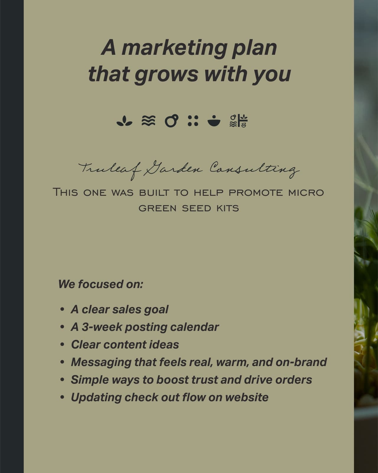 Marketing plan summary for Trueleaf Garden Consulting microgreen seed kits
