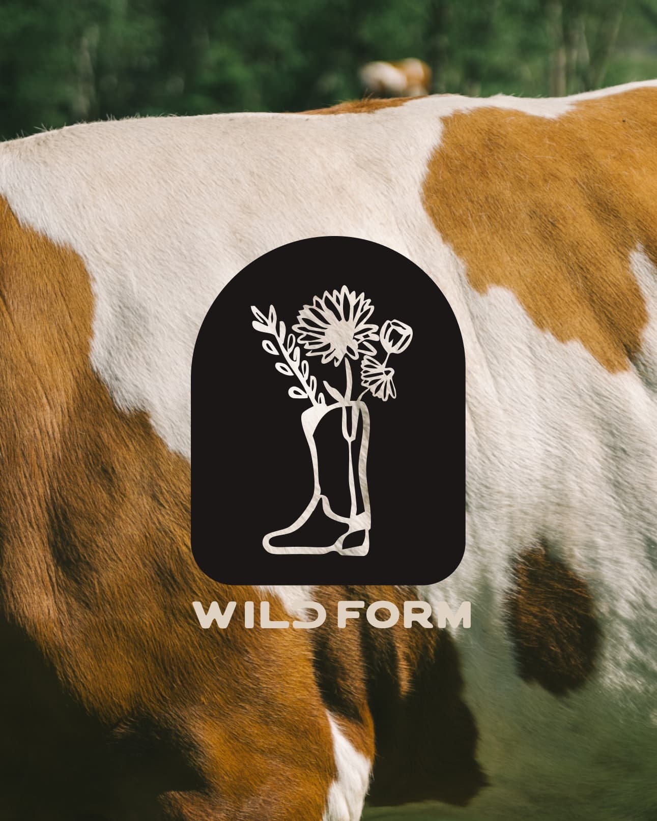 Wild Form boot and flower illustration presented on cowhide texture.