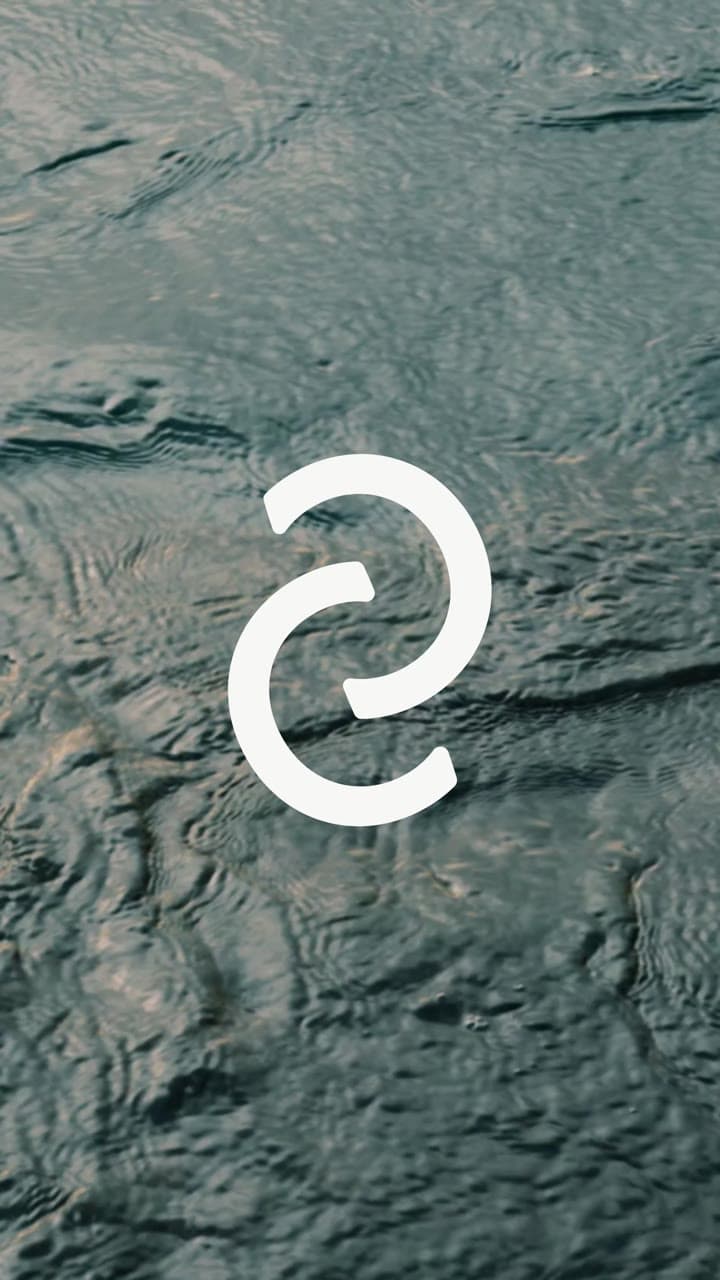Animated overview of the Clarity Counselling visual identity