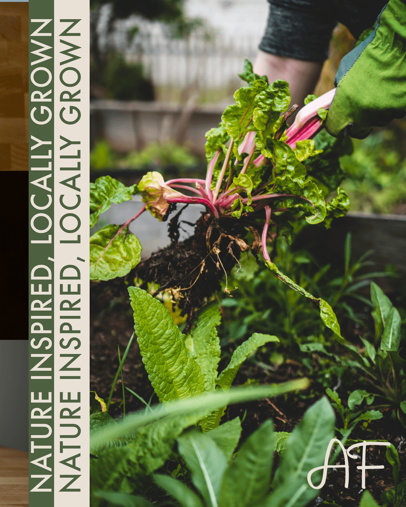 Alexandra's Farm locally grown brand story with garden photography