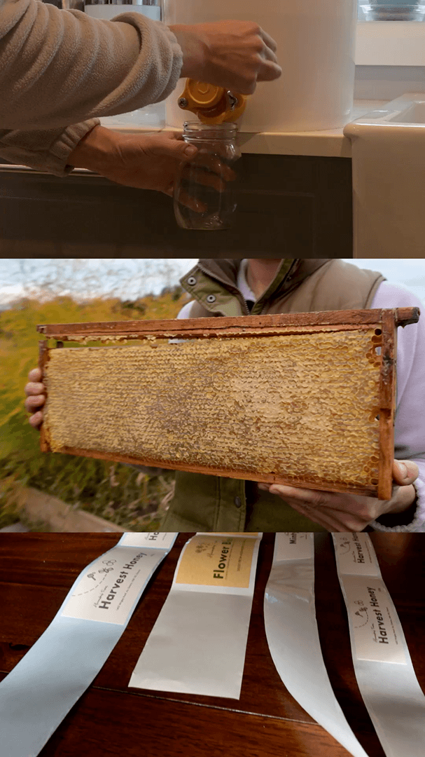 Behind the scenes of Alexandra's Farm Harvest Honey packaging and product content