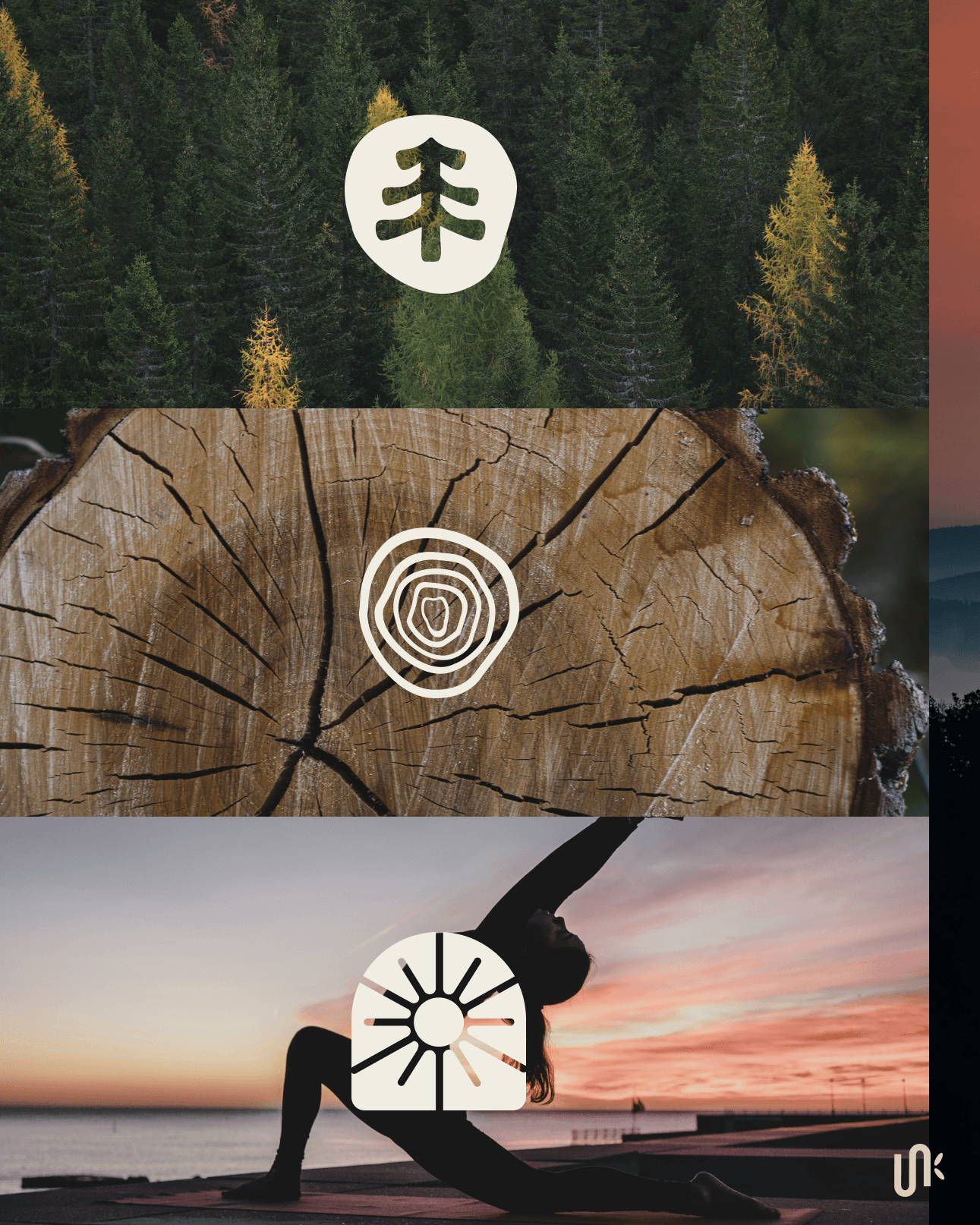 Zenova Wellness brand marks applied across nature photography