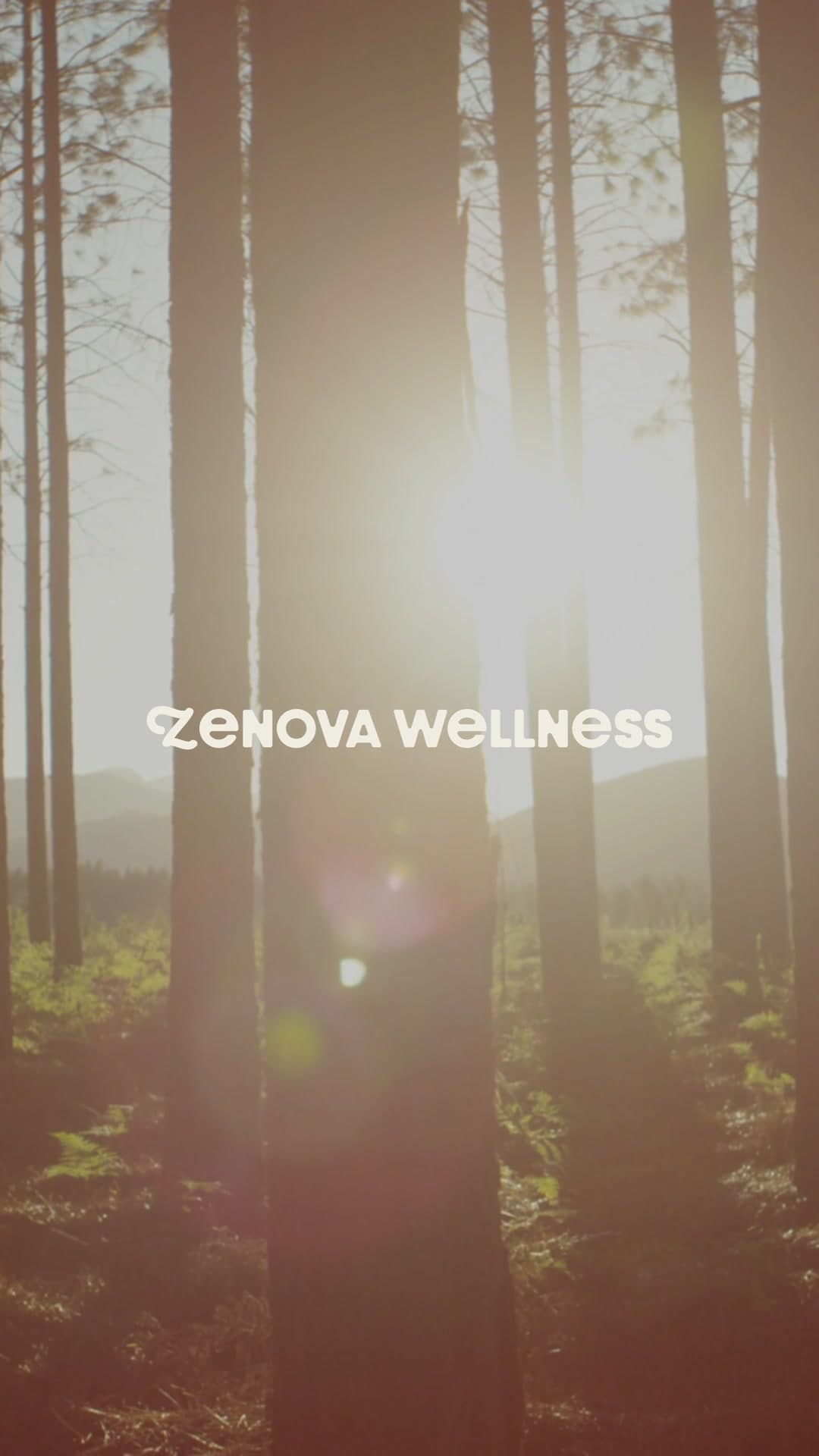 Zenova Wellness animated brand reveal