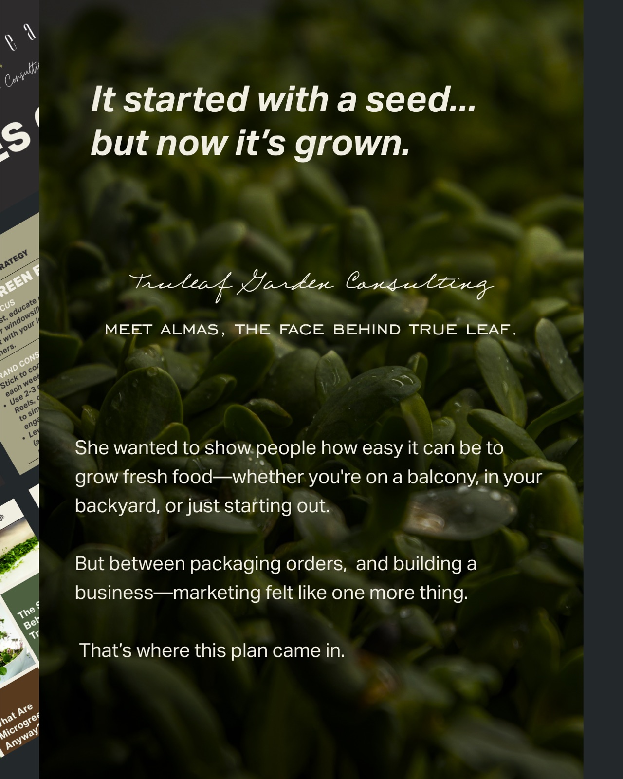 Meet Almas, the founder of Trueleaf Garden Consulting, with a story about growing fresh food and needing a clearer marketing plan.