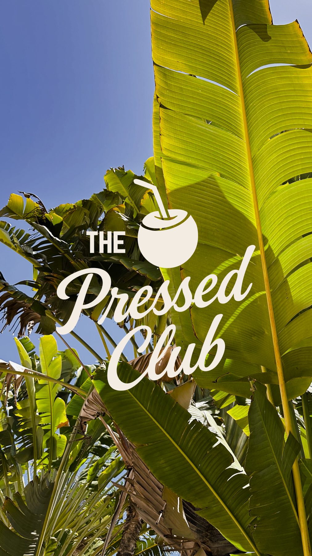 The Pressed Club juice bar branding with fresh, lifestyle-driven visuals and modern product-focused design