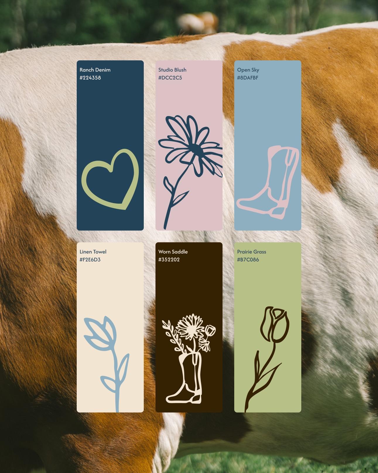 Wild Form Pilates brand colour palette with illustrated cards in denim blue, blush, open sky, cream, saddle brown, and prairie green.